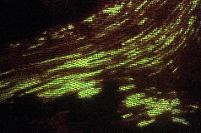 Spectacle autour de la grotte Chauvet proposé par la compagnie Zinzoline de Saint-Péray (07) - Ardèche