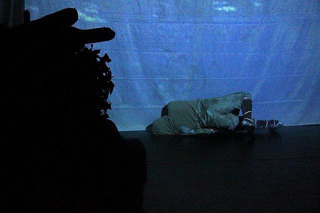 Spectacle autour de la grotte Chauvet proposé par la compagnie Zinzoline de Saint-Péray (07) - Ardèche