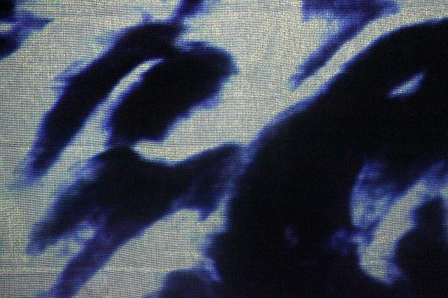 Spectacle autour de la grotte Chauvet proposé par la compagnie Zinzoline de Saint-Péray (07) - Ardèche