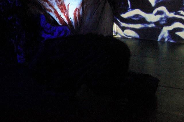 Spectacle autour de la grotte Chauvet proposé par la compagnie Zinzoline de Saint-Péray (07) - Ardèche