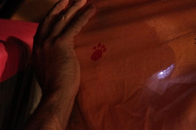 Spectacle de la compagnie Zinzoline autour de la lecture - Histoires sans parole