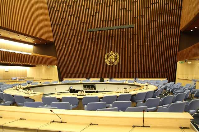 Intervention de la compagnie Zinzoline à l'OMS (Organisation mondiale de la santé) à Genève