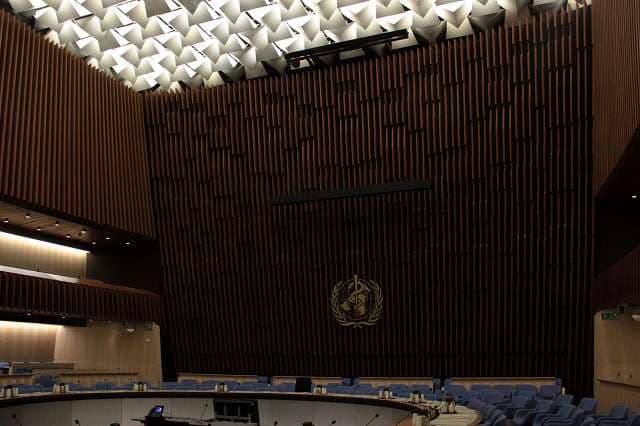 Intervention de la compagnie Zinzoline à l'OMS (Organisation mondiale de la santé) à Genève