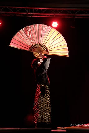 soirée Mimages fait son cirque à Saint-Sylvestre en Ardèche, festival du geste et du Mime, 2018, Shintaï Jonglo