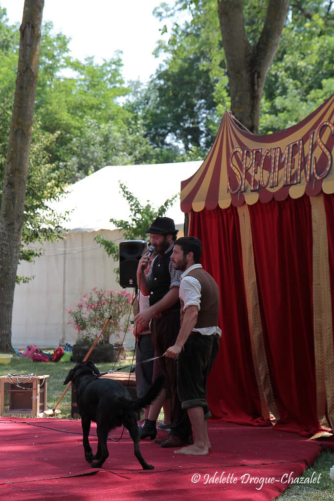 Quinzième festival "l'enfance de l'art" à Saint-Péray à la Cacharde organisé par la compagnie Zinzoline, spectacle les specimens