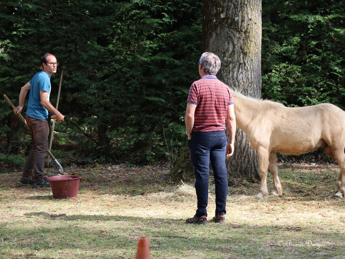 Festival jeune public : l'Enfance de l'art 2019 à la Cacharde, à Saint-Péray, le miracle de l'elixir crestois